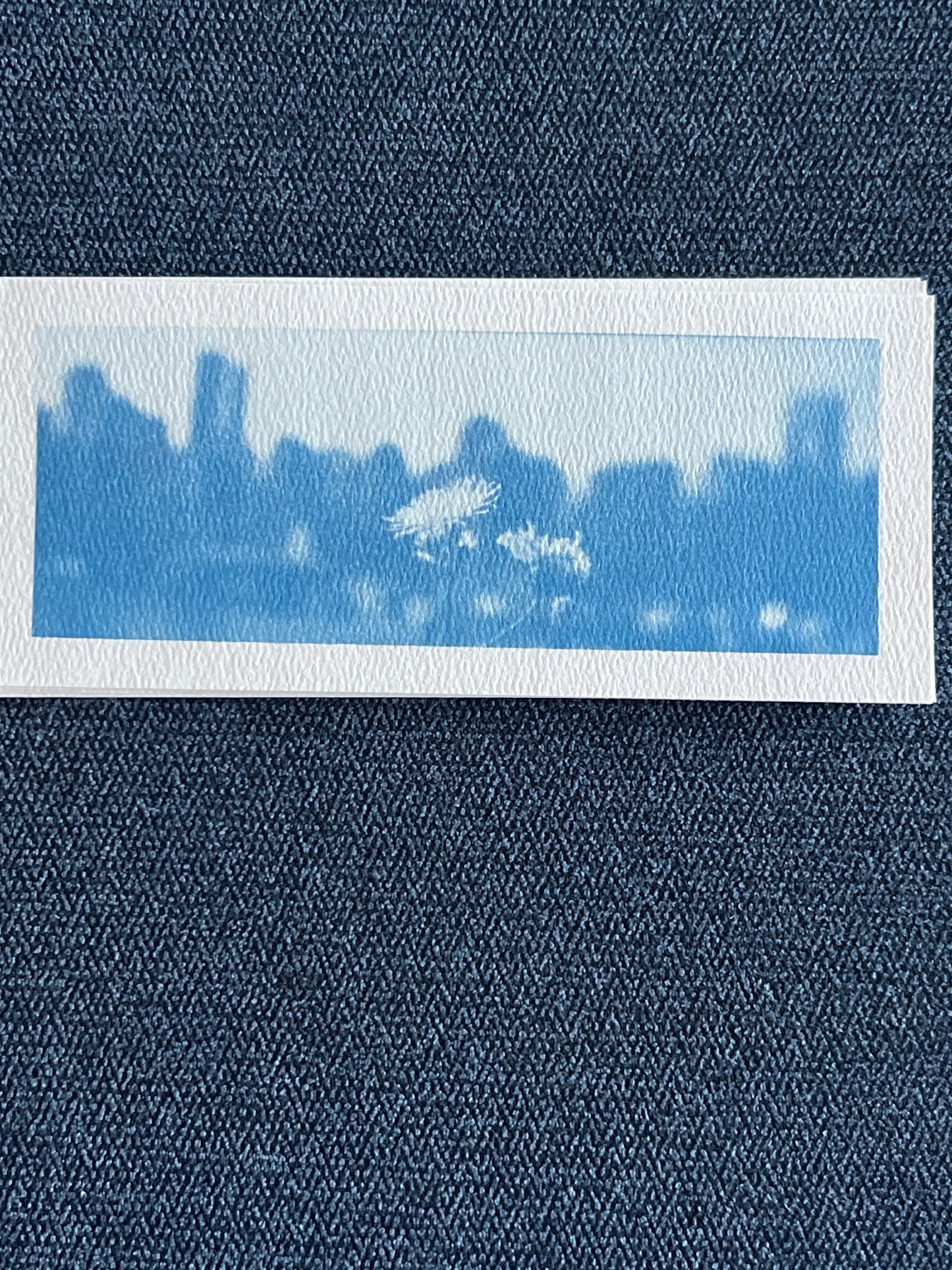 Flower cyanotype