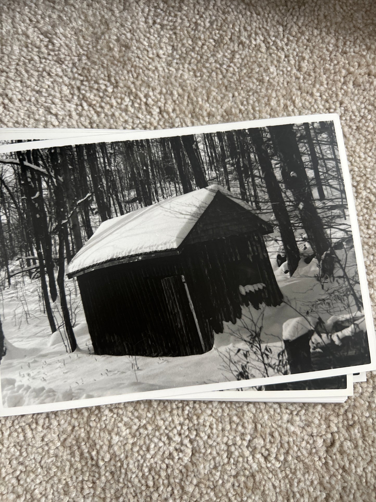 The Cabin