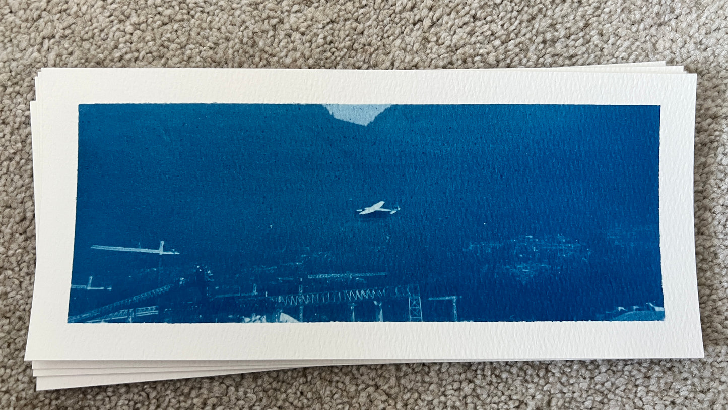 Plane Cyanotype
