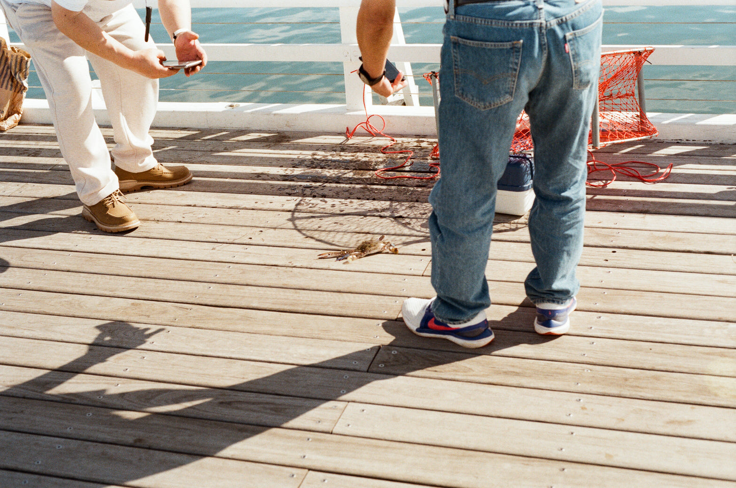 Crab On The Sandgate Pier