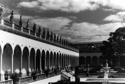The Ringling